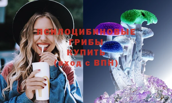 экстази Ельня