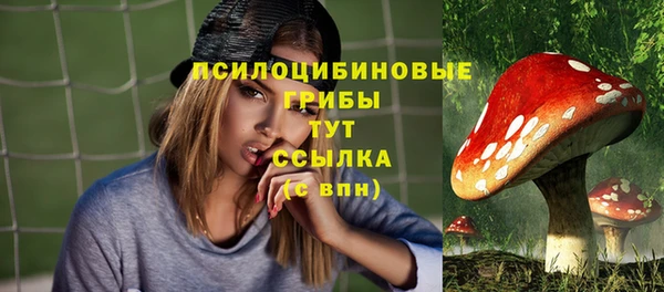 меф Елизово