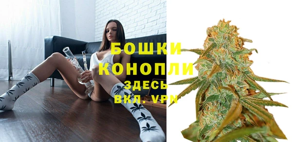 экстази Ельня